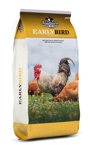 early bird bag