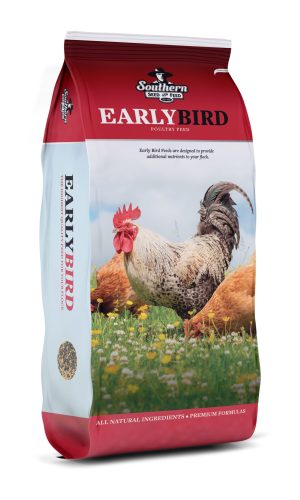 early bird bag