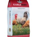 early bird bag