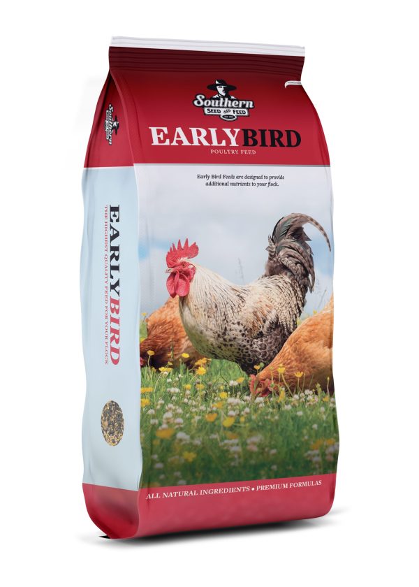 early bird bag