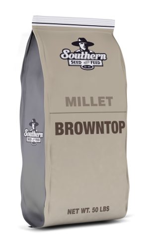 browntop millet bag