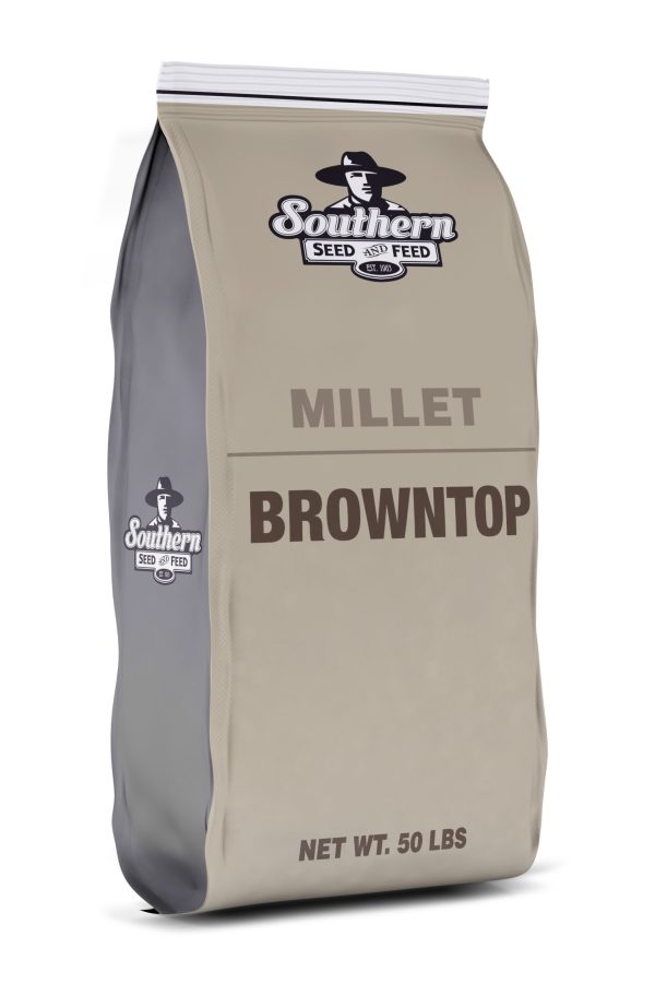 browntop millet bag