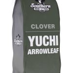 clover yuchi arrowleaf