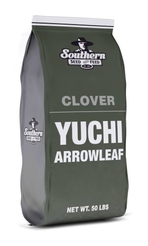 clover yuchi arrowleaf