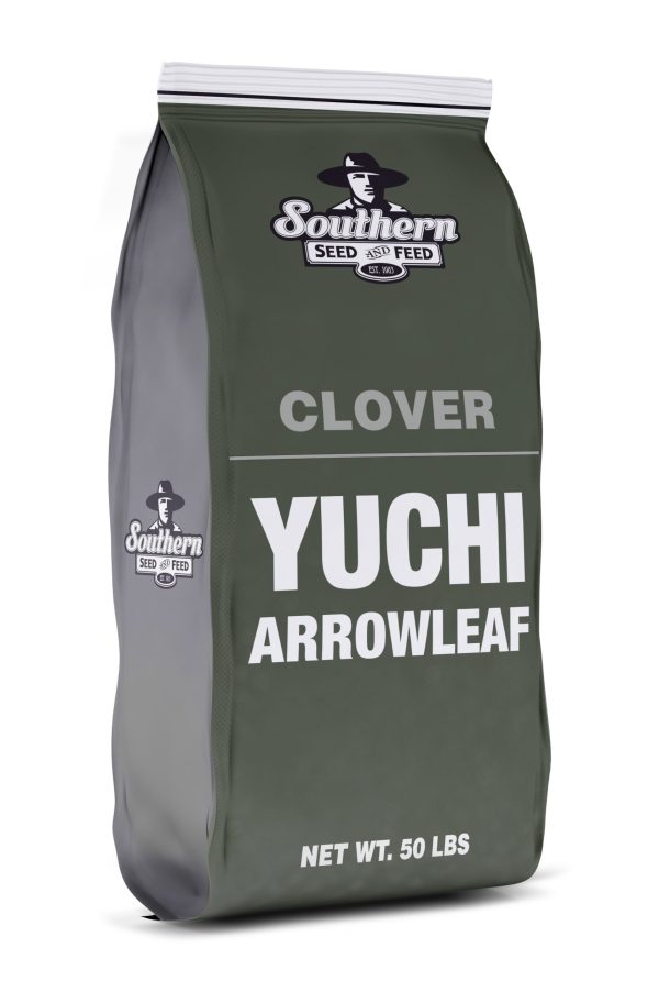 clover yuchi arrowleaf