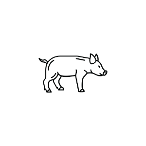 swine icon